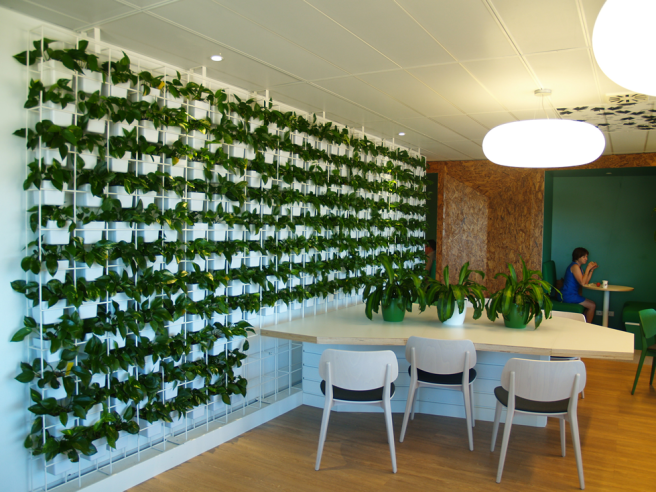 Create a Green Oasis in Your Workplace